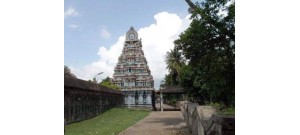 திருக்கொலிலி - ஆவணி விதங்கர் - பிருங்க நடனம்